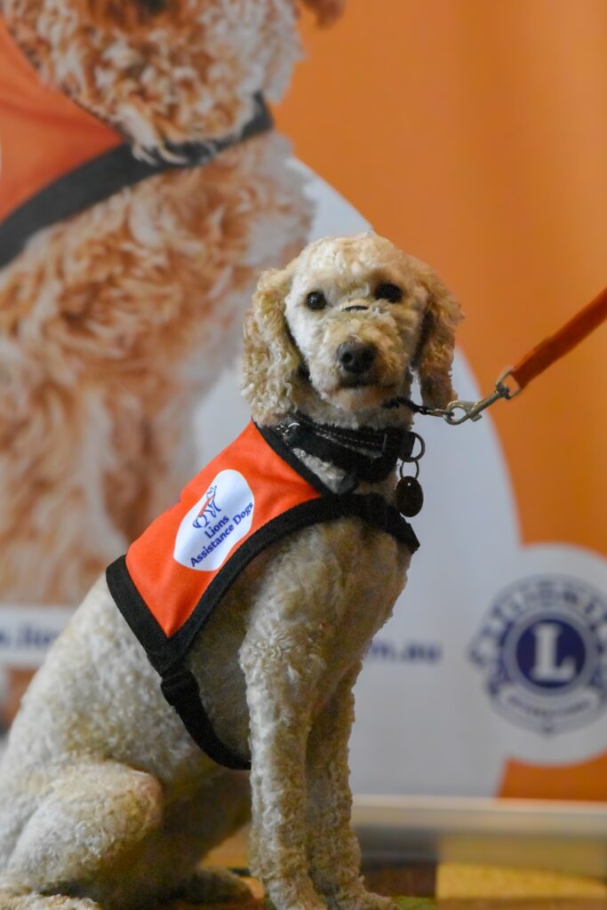 Lions Assistance Dogs - Hearing Assistance