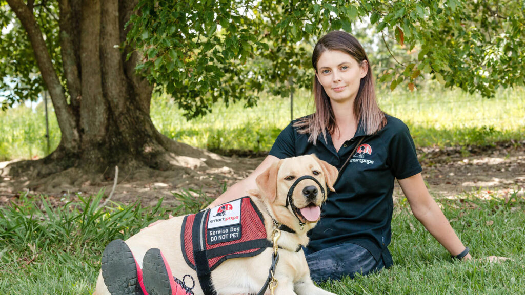 Assistance Dogs wearing their working vests