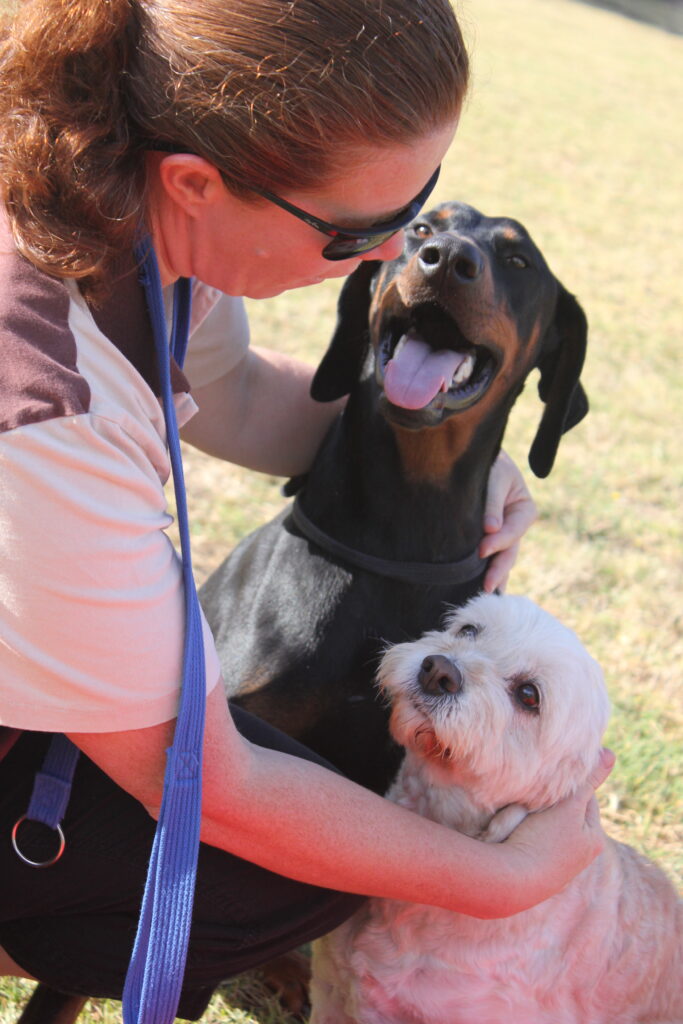 A female cuddles a Doberman and Maltese x dog.