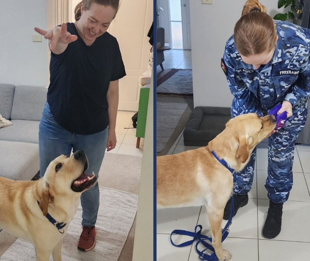 Weekend Volunteer with Assistance Dogs - Samantha, a weekend volunteer with a dog in training in her home.
